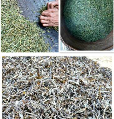 1599550045105020244.jpg 1.2.jpg